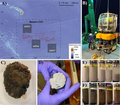 From Sea Surface to Seafloor: A Benthic Allochthonous eDNA Survey for the Abyssal Ocean